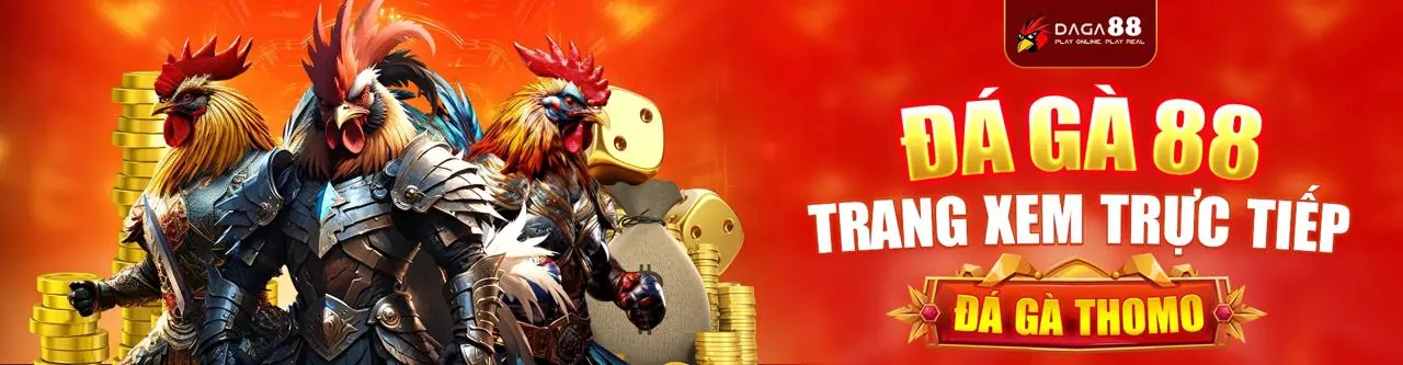 Các tính năng nổi bật của ứng dụng 55WINBET