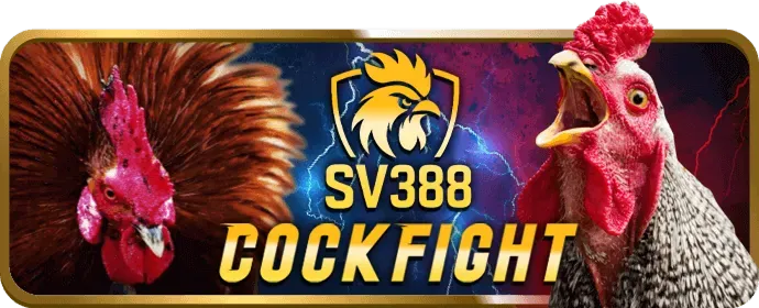 Lịch sử phát triển 55winbet