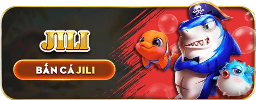 Hỗ trợ khách hàng và Câu hỏi thường gặp 55winbet