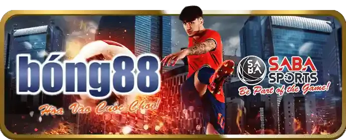 Cam kết dịch vụ 55winbet